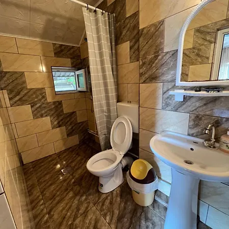 Casa Radoi * كوستِنيست